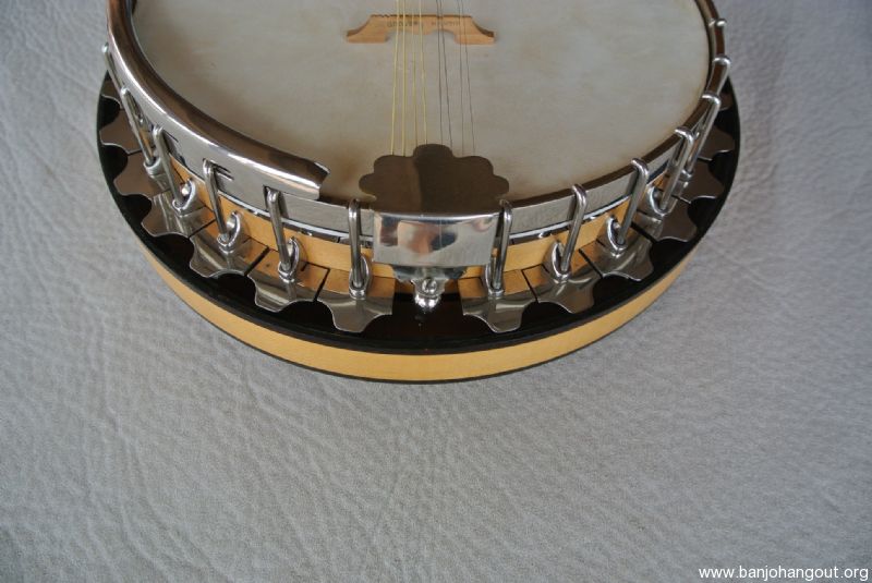 washburn banjo serial numbers